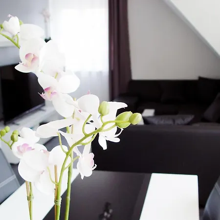 La Domus Premium Osnabrueck Lotte Apartment Exterior photo