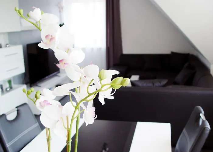 La Domus Premium Osnabrueck Lotte