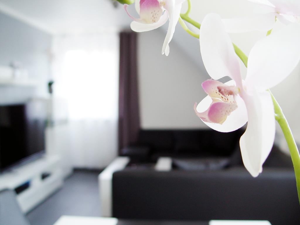 Apartment La Domus Premium Osnabrueck Lotte