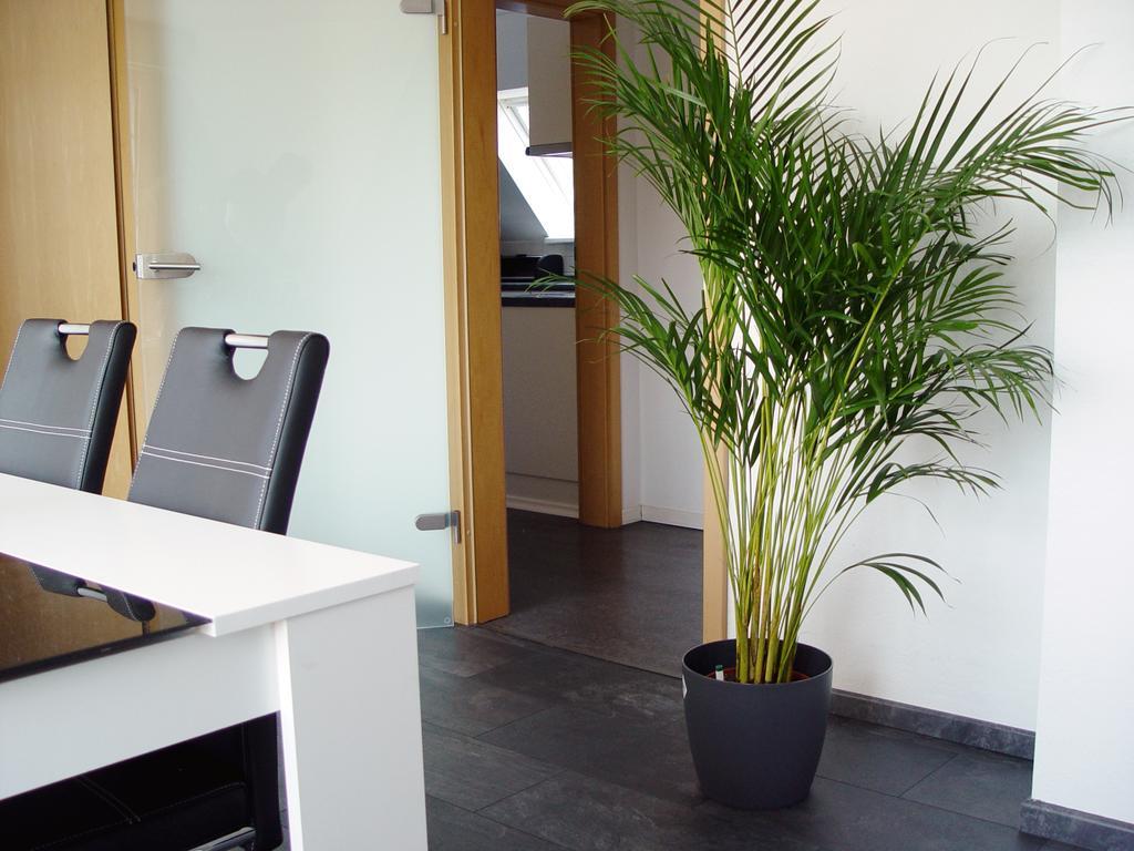 Apartment La Domus Premium Osnabrueck *
